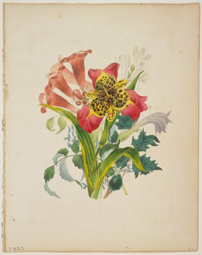 Bouquet de Trompettes, du Dictionnaire de Flora, 1838 - E. W. Wirt